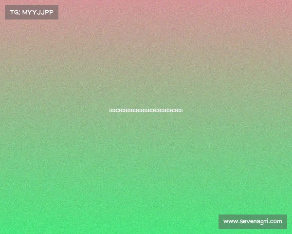 加速推进打造世界赛事名城计划助力城市国际化发展与体育强国建设