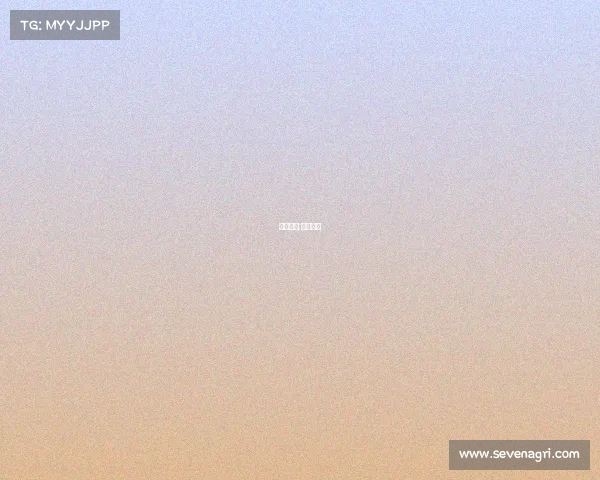 博克赛事;搏克赛事