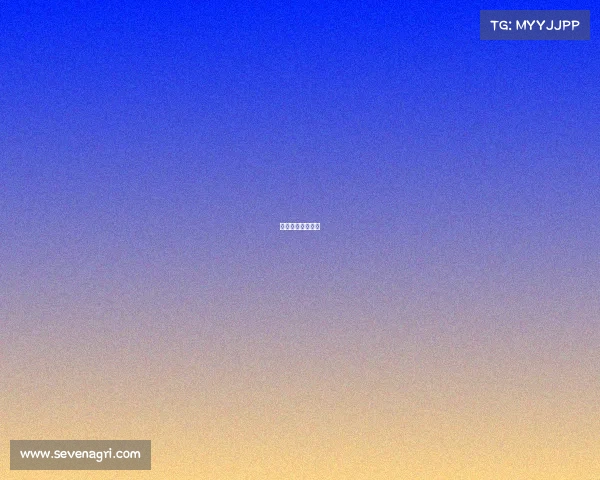 国足九月赛事直播